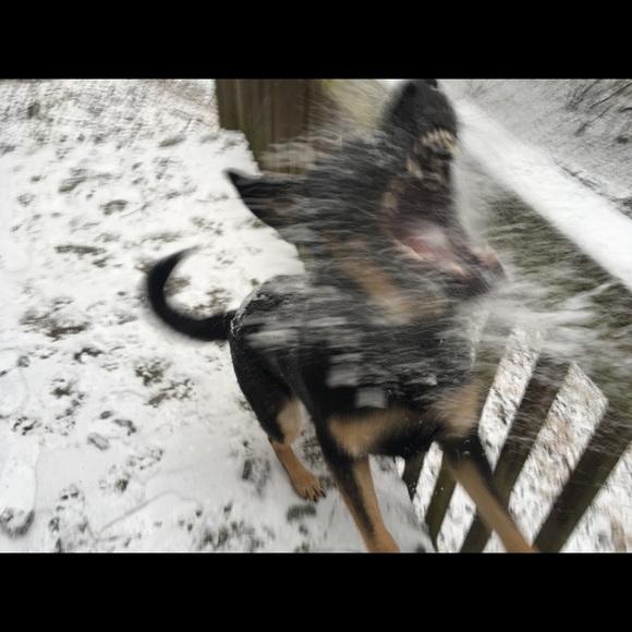 Meet your Posher, Rachell - Picture 8 of 8